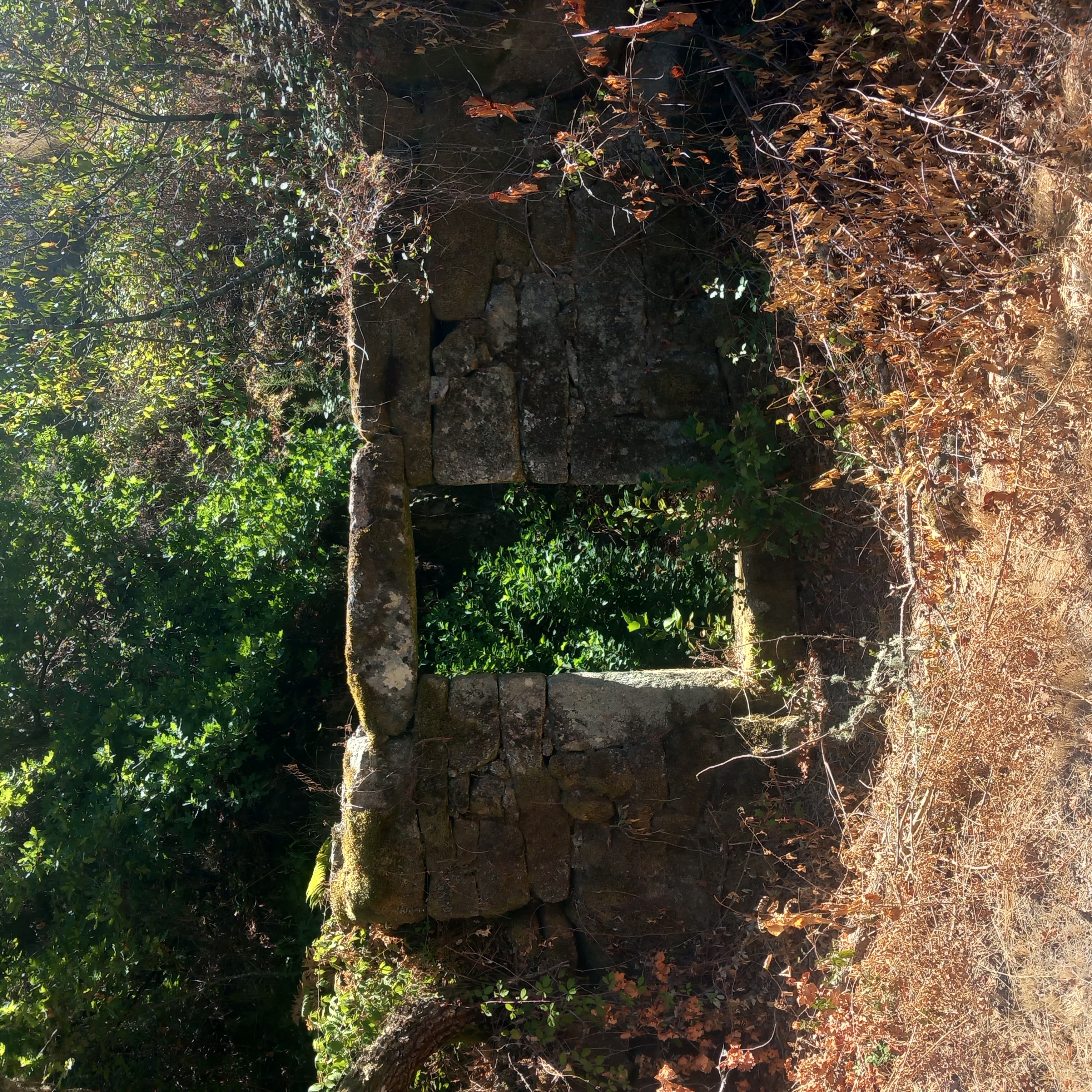 Wild land details