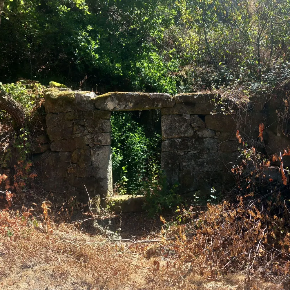 An old stone gateway overgrown with green