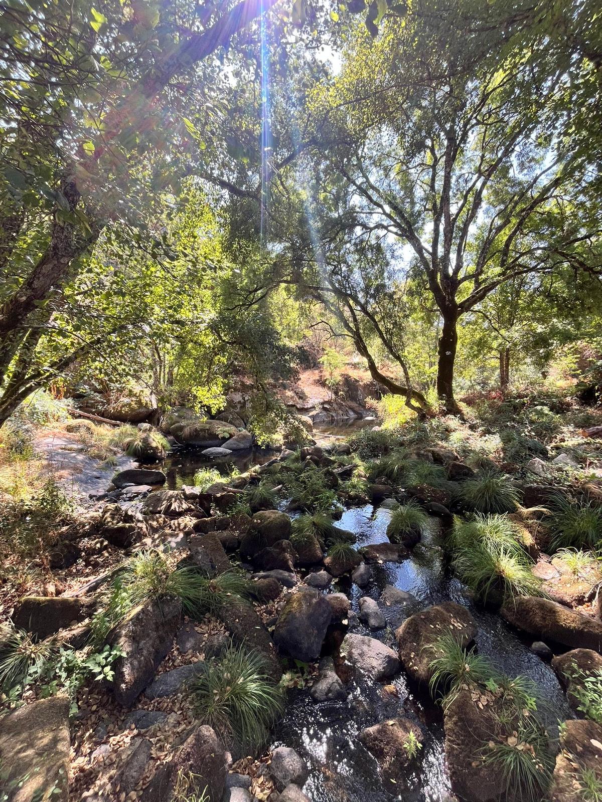 River time and nature